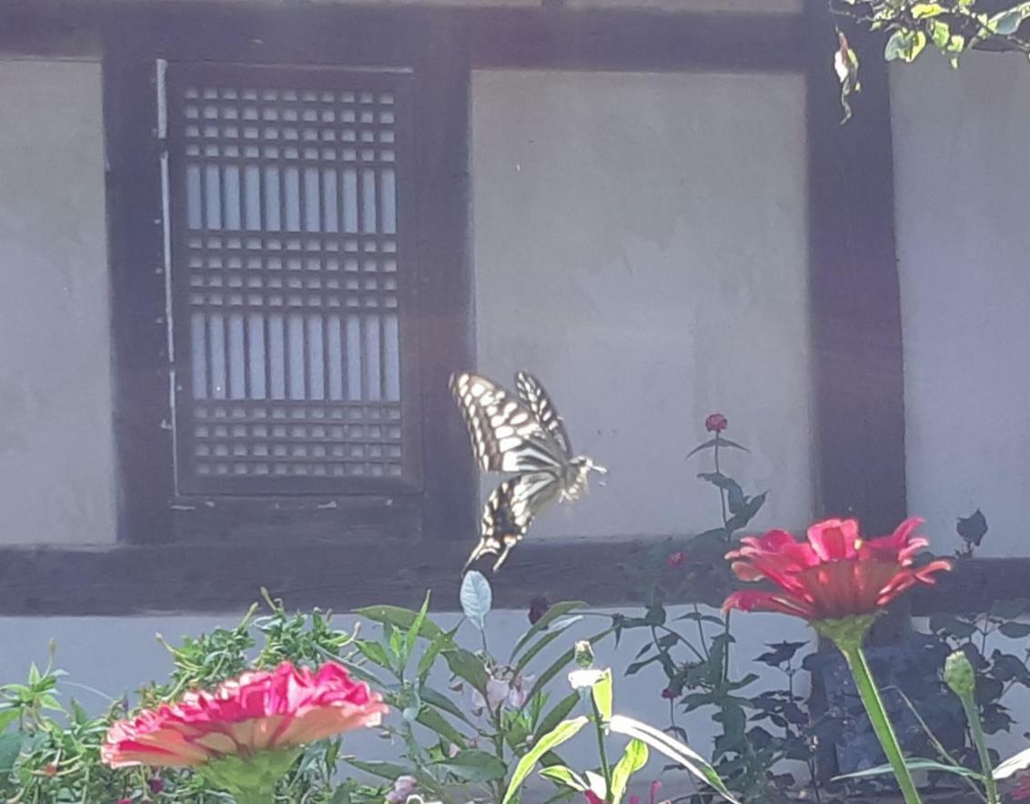 Manhoe Gotaek Bonghwa Exterior photo